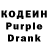 Codein Purple Drank Zhanar Abilpatta